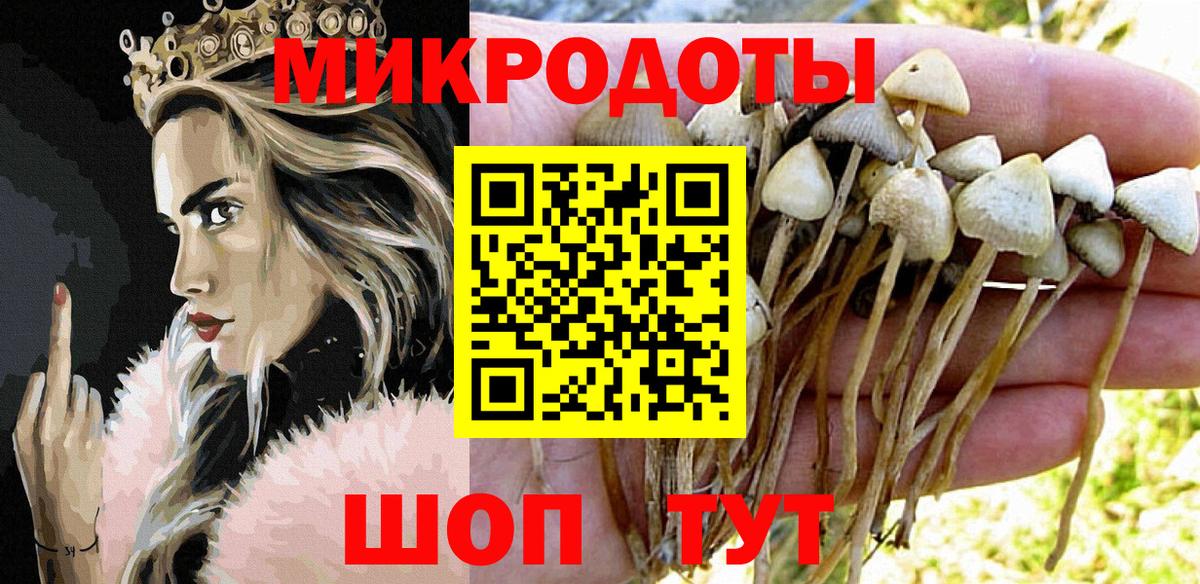 Псилоцибиновые грибы MAGIC MUSHROOMS  Вход с VPN  Саранск 