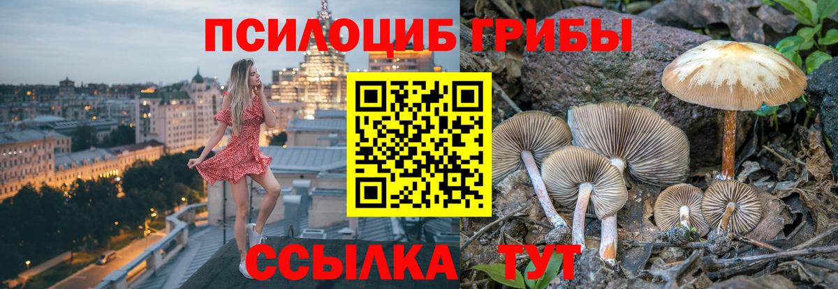 Галлюциногенные грибы прущие грибы Саранск